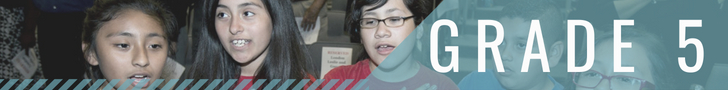 Grade 5 